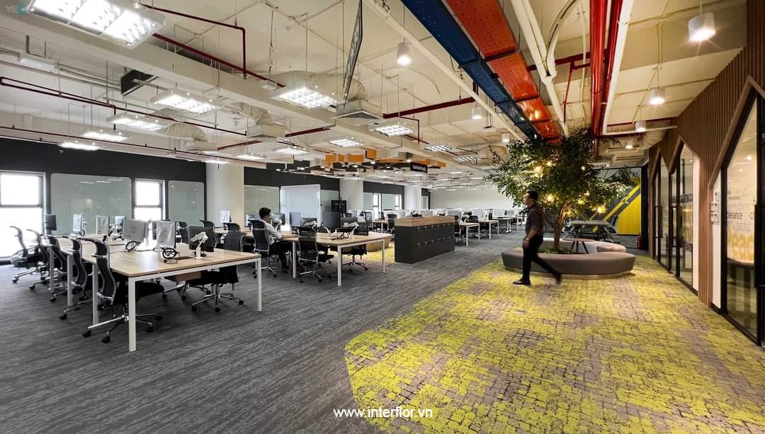 phối thảm sàn if100